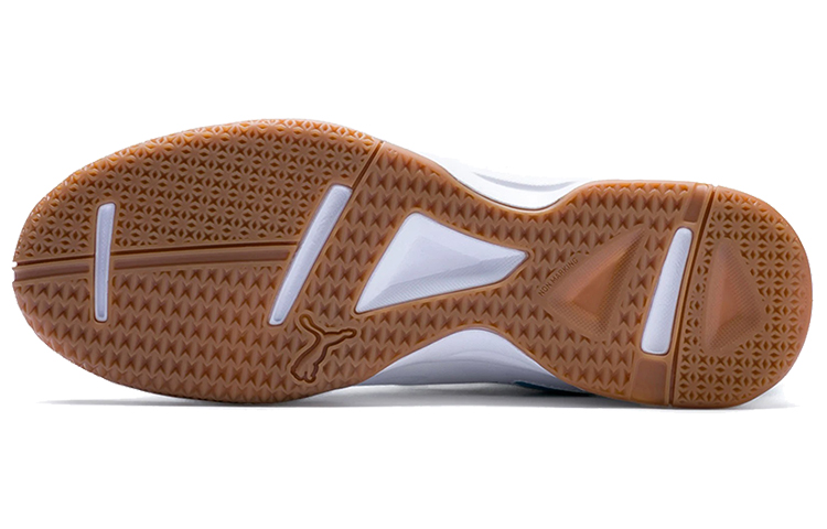 Details for プーマ 黒白青 (Puma Kuro Shiro Ao) 104889-05
