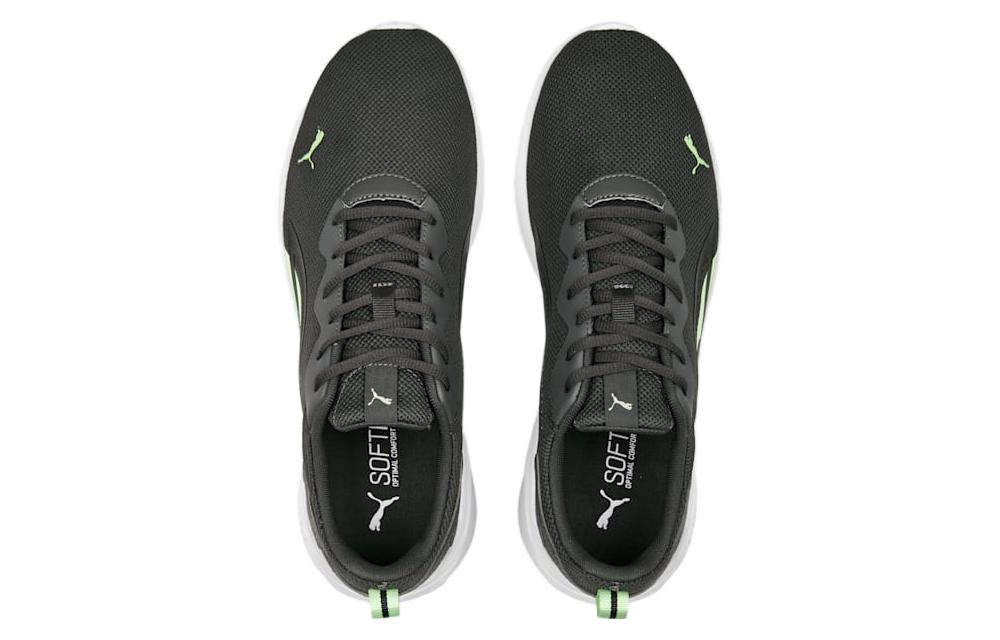 Shop Puma All-Day Active 'Hitam Hijau' 386269-13