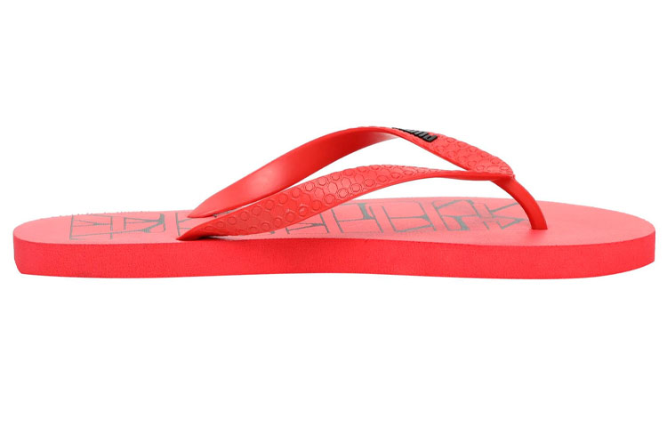 Order Puma Altai ''Rode Slides'' 371062-04