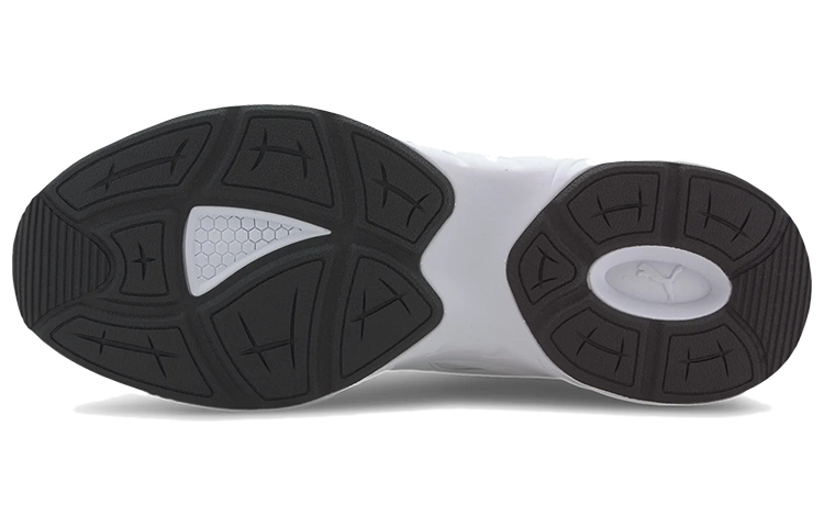 Purchase Puma Ascend SL Weiß/Grau Low Sneakers 373195-01