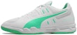 Puma Auriz Indoor /Green 'Grey' 105600-04