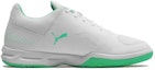 Order Puma Auriz Indoor /Green 'Grey' 105600-04
