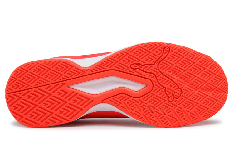 Purchase Puma Auriz ''Oranje Wit'' 106148-06