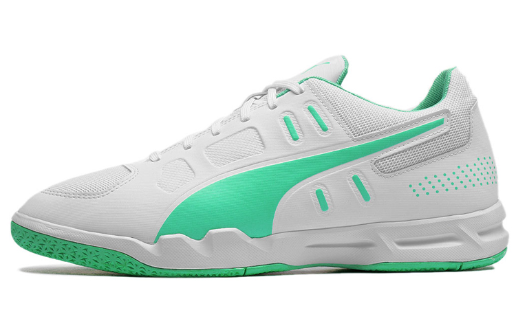 Puma Auriz Indoor /Green 'Grey' 105600-04