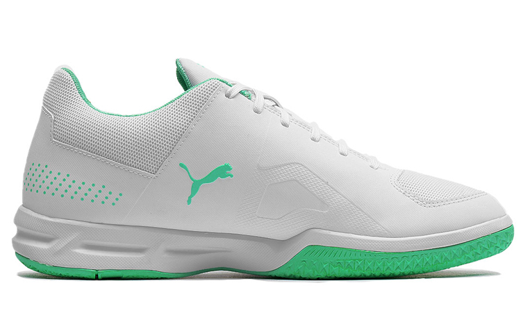 Order Puma Auriz Indoor Grün Grau 105600-04