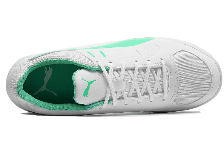Lookbook Puma Auriz Indoor Grün Grau 105600-04