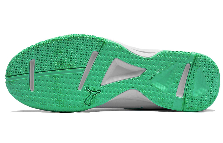 Purchase Puma Auriz Indoor Grün Grau 105600-04