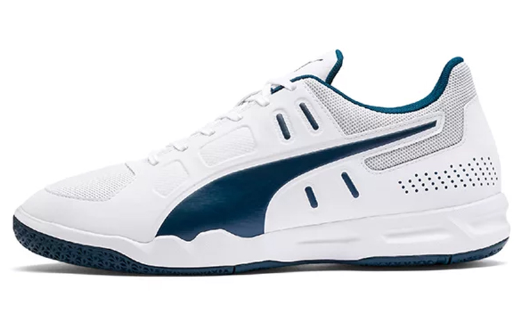 Puma Auriz Indoor 'Grey' 105600-02