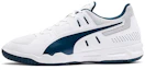 Buy Puma Auriz Indoor ''Grijs'' 105600-02