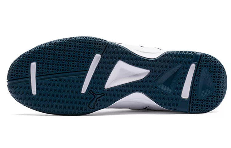 Purchase Puma Auriz Indoor ''Grijs'' 105600-02