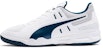 Puma Auriz Indoor 'Grey' 105600-02