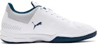 Order Puma Auriz Indoor 'Grey' 105600-02