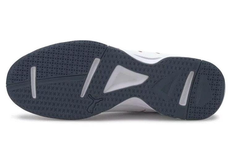 Purchase Puma Auriz Indoor ''Weiß'' 105600-07