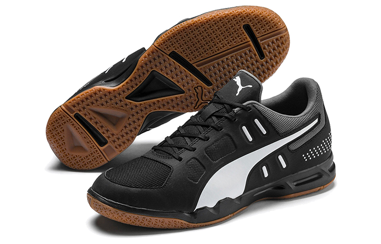 Purchase Puma Auriz Indoor Noir/Blanc 105600-03