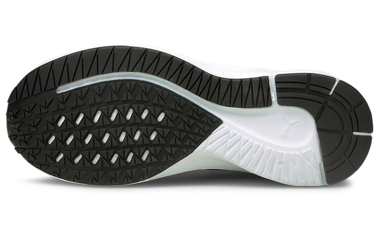 Purchase プーマ アビエイター "ブラック キャッスルロック" 195175-01