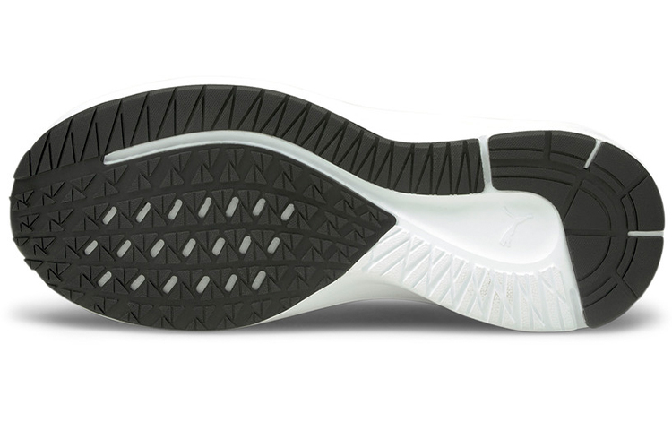 Purchase Puma Aviator 'Castlerock' Zapatillas deportivas 195175-03