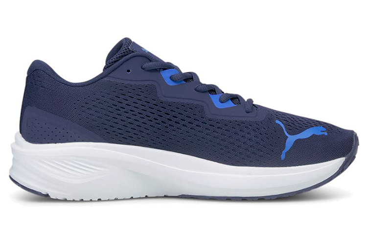 Order 彪馬 Aviator '海軍未來藍' 195175-02