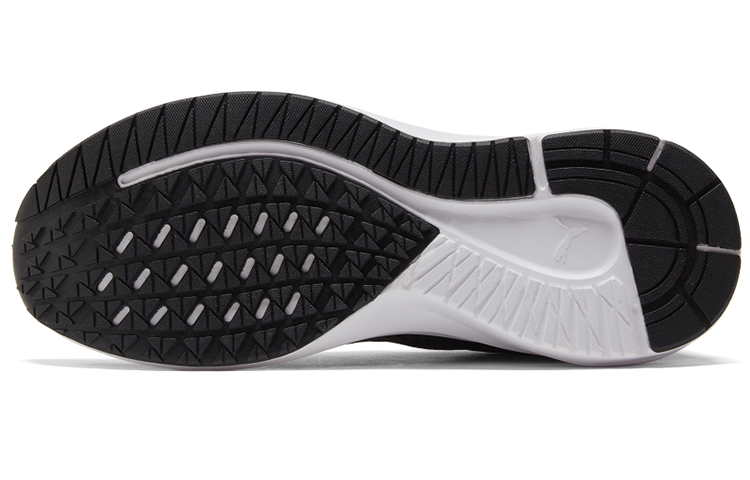 Details for Puma Aviator ProFoam Sky 'Hitam Putih' 376615-01