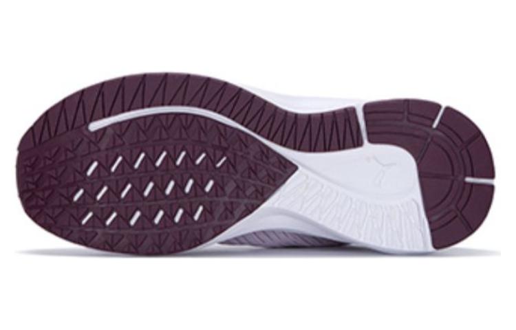 Details for 彪馬 Aviator ProFoam Sky '薰衣草霧' 376615-06