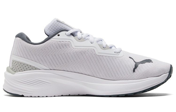 Order 彪馬Aviator ProFoam Sky「白色深板岩」376615-04