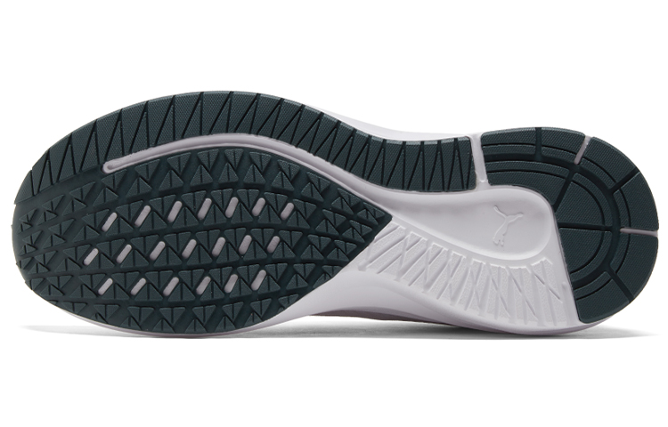 Details for 彪馬Aviator ProFoam Sky「白色深板岩」376615-04