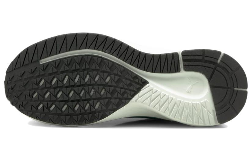 Purchase Puma Aviator WTR Low Tops Hijau 195506-01