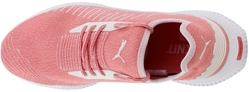 Puma Avid Evoknit Low Top Merah Muda 365392-06 Lookbook Puma Avid Evoknit Low Top Merah Muda 365392-06