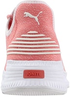 Puma Avid Evoknit Low Top Merah Muda 365392-06 Shop Puma Avid Evoknit Low Top Merah Muda 365392-06