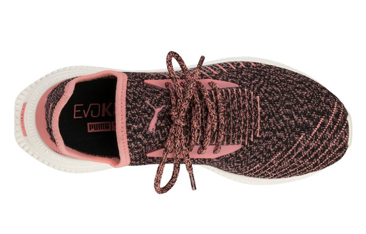 Lookbook Puma Avid Evoknit Low Top Rosa/Braun 365392-05