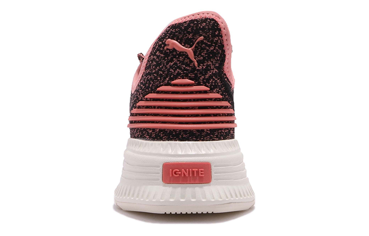 Shop Puma Avid Evoknit Low Top Rosa/Braun 365392-05