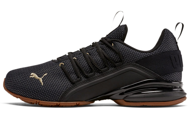 Buy Puma Axelion Mesh ''Noir'' 192488-06