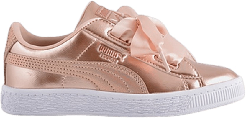 Puma lunar 2025