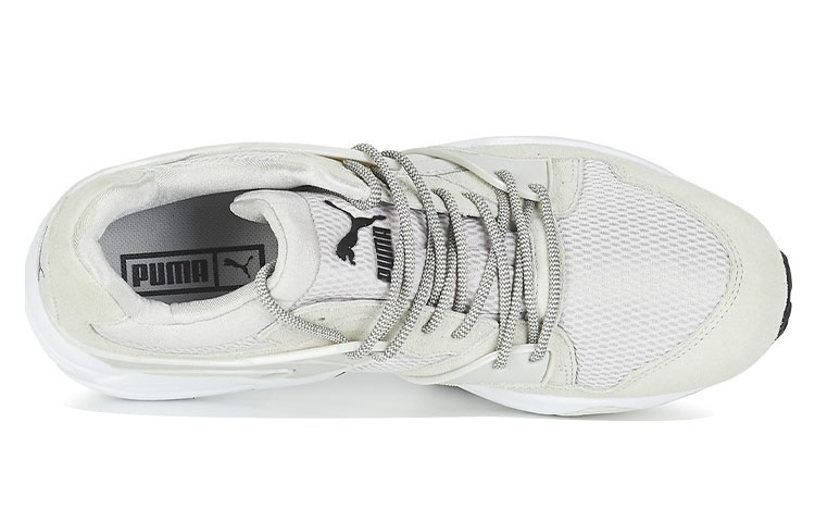 Shop Puma Blaze Core Low 'White' 362510-02