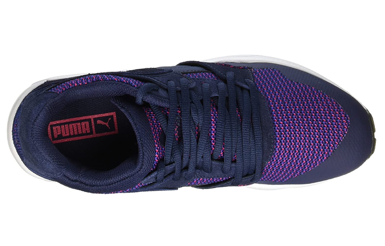 Lookbook Puma Blaze Multisport Schoenen Paars 362512-03