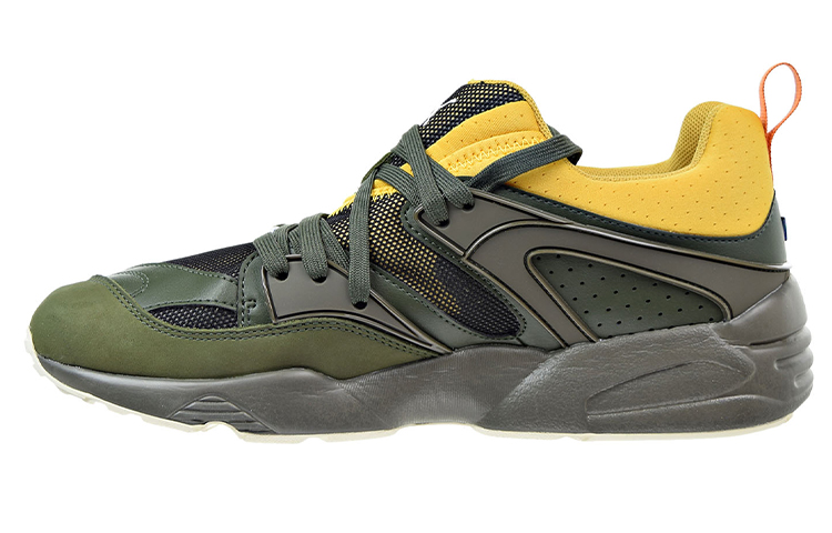 Puma Blaze Of Glory Green Low Tops Sports Shoe