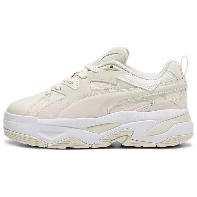 Details for プーマ BLSTR ミックス アルパインスノー 396095-01