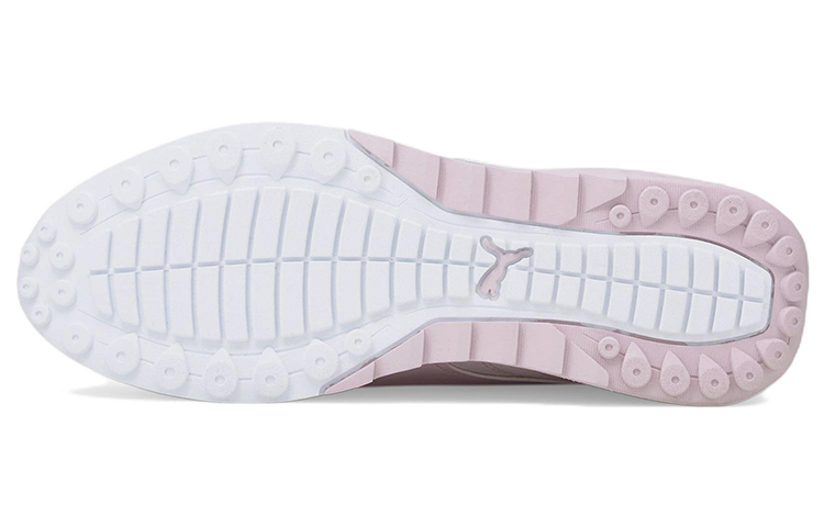 Purchase Puma BMW M Motorsport Speedfusion ''Rosa Motorsport'' 307000-03