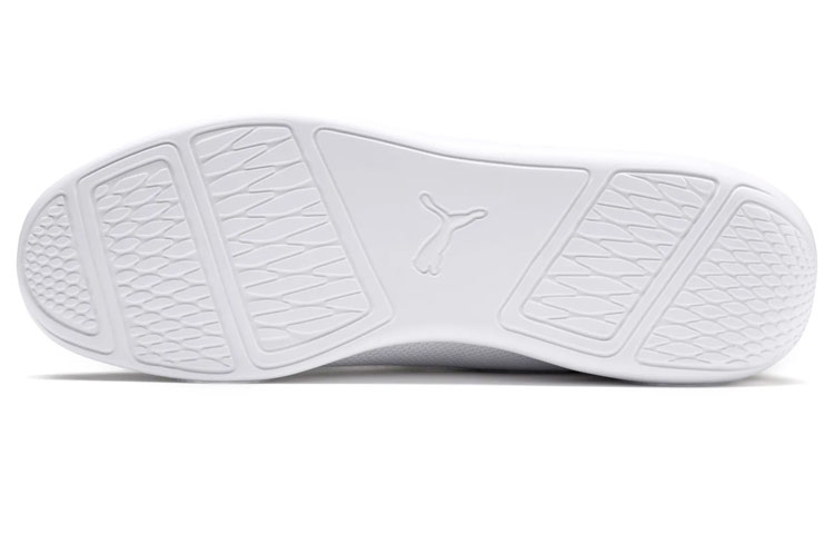 Purchase Puma BMW Motorsport Evo Cat Racer ''Bianco'' 306387-02