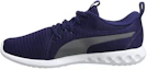 Buy Puma Carson 2 Chaussures de Course Bleu/Gris 190037-03