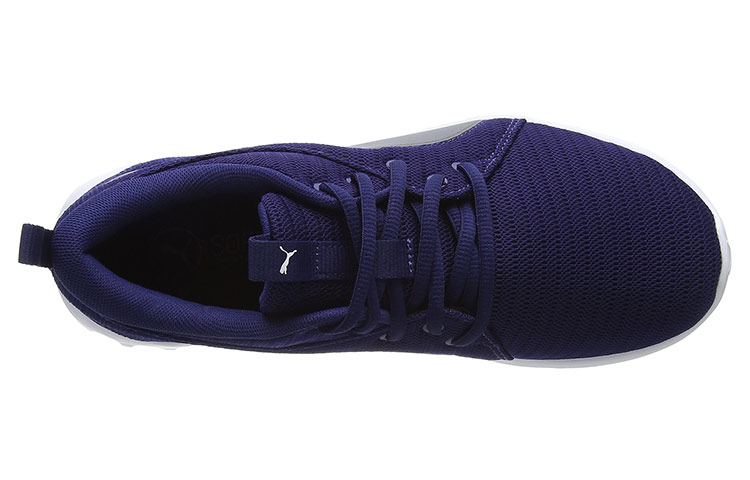 Lookbook Puma Carson 2 Chaussures de Course Bleu/Gris 190037-03