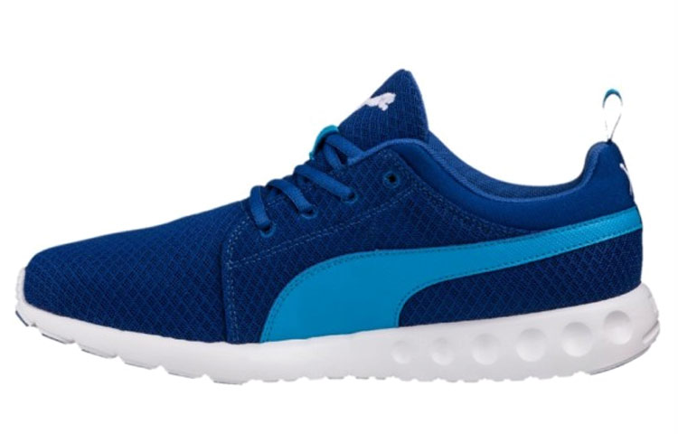 Puma Carson Mesh 'Blue' 189024-05