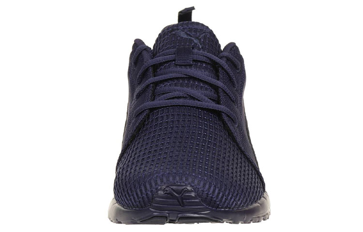 Shop Puma Carson Runner Dash ''Blau'' Sneakers 189812-01