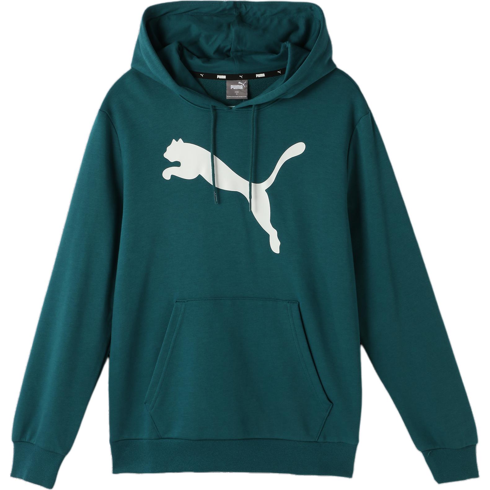 Buy Puma Casual Hoodie Pullover in Cool Light Green 686060-23