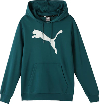 Puma Casual Hoodie Pullover in Cool Light Green 686060-23 Buy Puma Casual Hoodie Pullover in Cool Light Green 686060-23
