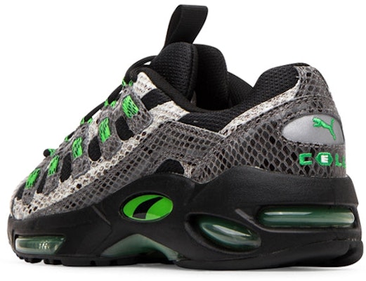 Puma Cell Endura 'Animal Kingdom' Lelaki & Wanita 370926-02 Shop Puma Cell Endura 'Animal Kingdom' Lelaki & Wanita 370926-02