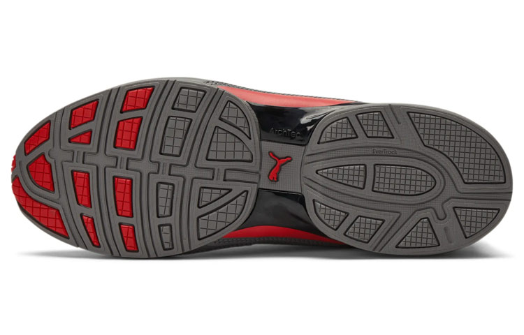 Purchase 彪马Cell Regulate NX '卡斯勒岩高风险红' 194409-02