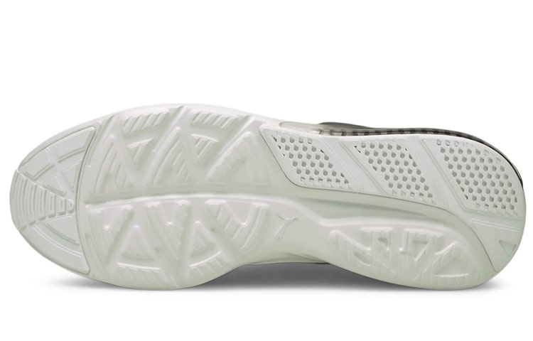 Purchase Puma Cell Vive Evo 'Hijau' 376105-06