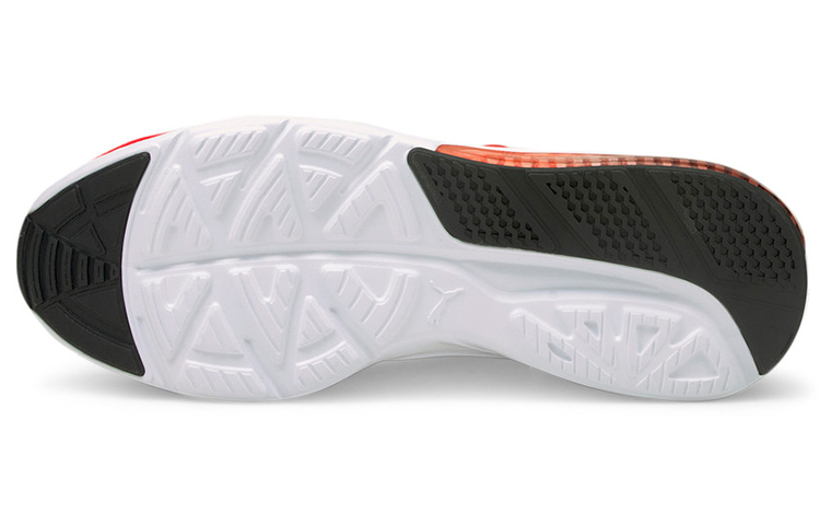 Purchase Puma Cell Vive Evo 'Rojo' 376105-02