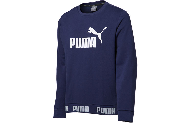 Puma CLOUDSPUN Printed Crewneck Pullover Sweatshirt Tweed Blue 854736-06