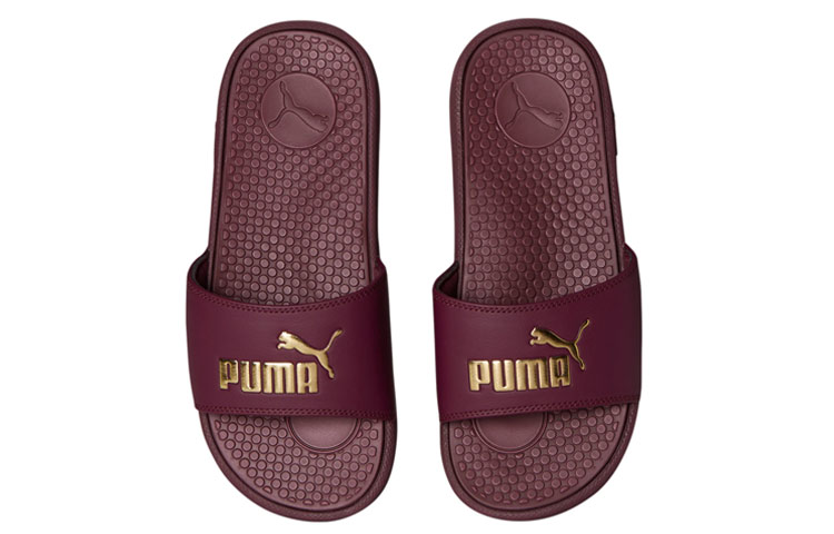 Puma Cool Cat Campus Slides 'Burgundy Gold' 圖 3